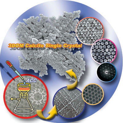 仿生材料合成領(lǐng)域研究新進(jìn)展