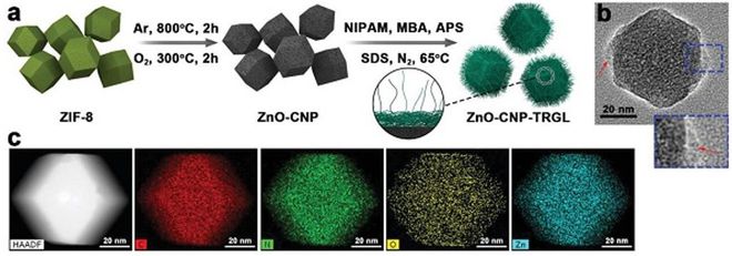 四川大學(xué)程沖、趙長生團(tuán)隊(duì)開發(fā)尺寸可變碳納米材料用于化學(xué)聯(lián)合光熱抗菌合成材料