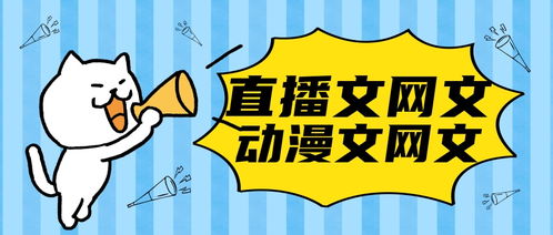 郴州網絡文化經營許可證辦理全攻略 條件、流程與注意事項